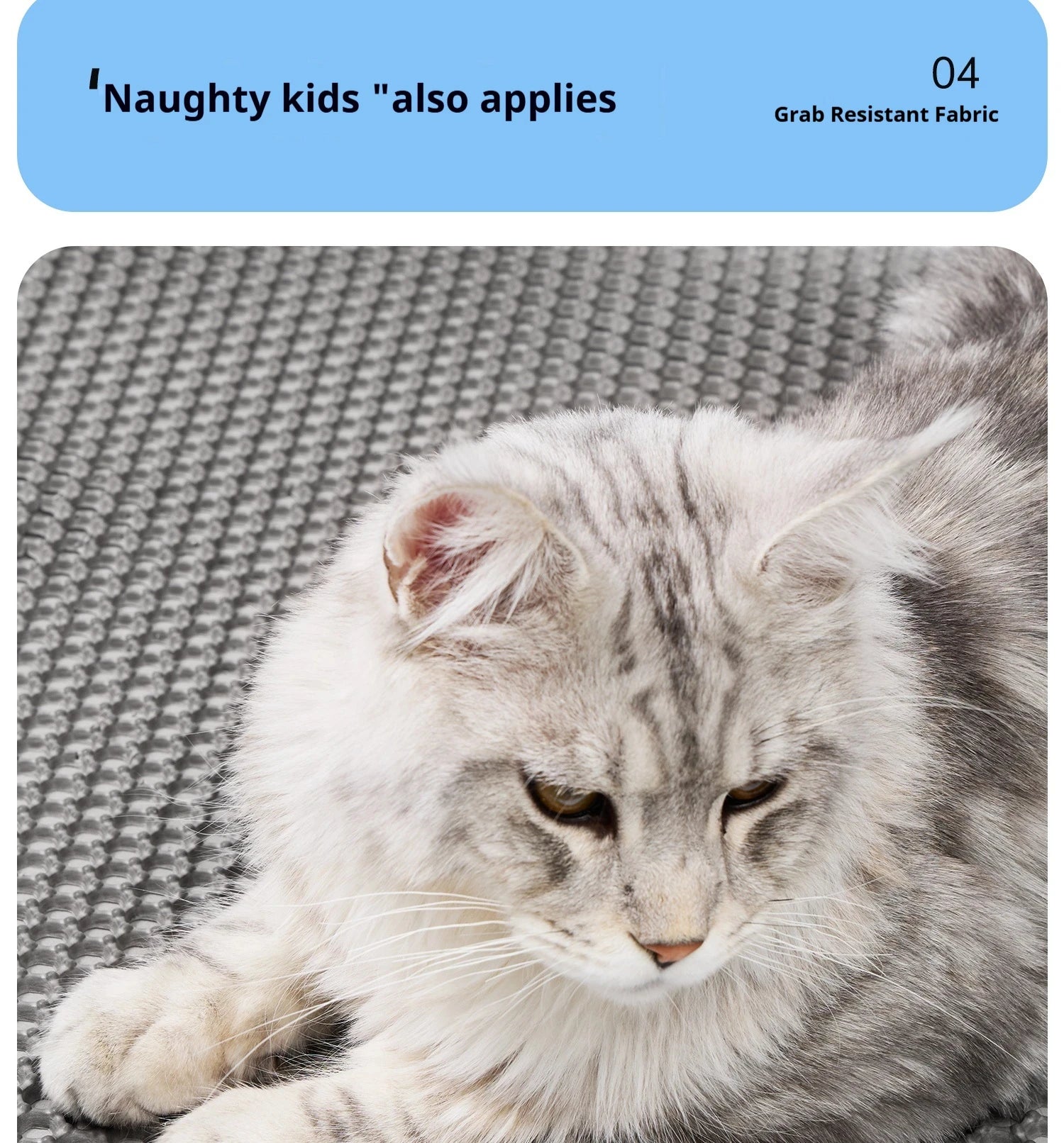 EVA Double-Layer Cat Litter Mat